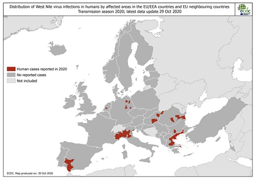 Figuur 6. Aantal gerapporteerde mensen met een WNV-infectie in EU/EEA-landen en EU- buurlanden; transmissieseizoen 2020 (laatste update 29 oktober 2020)