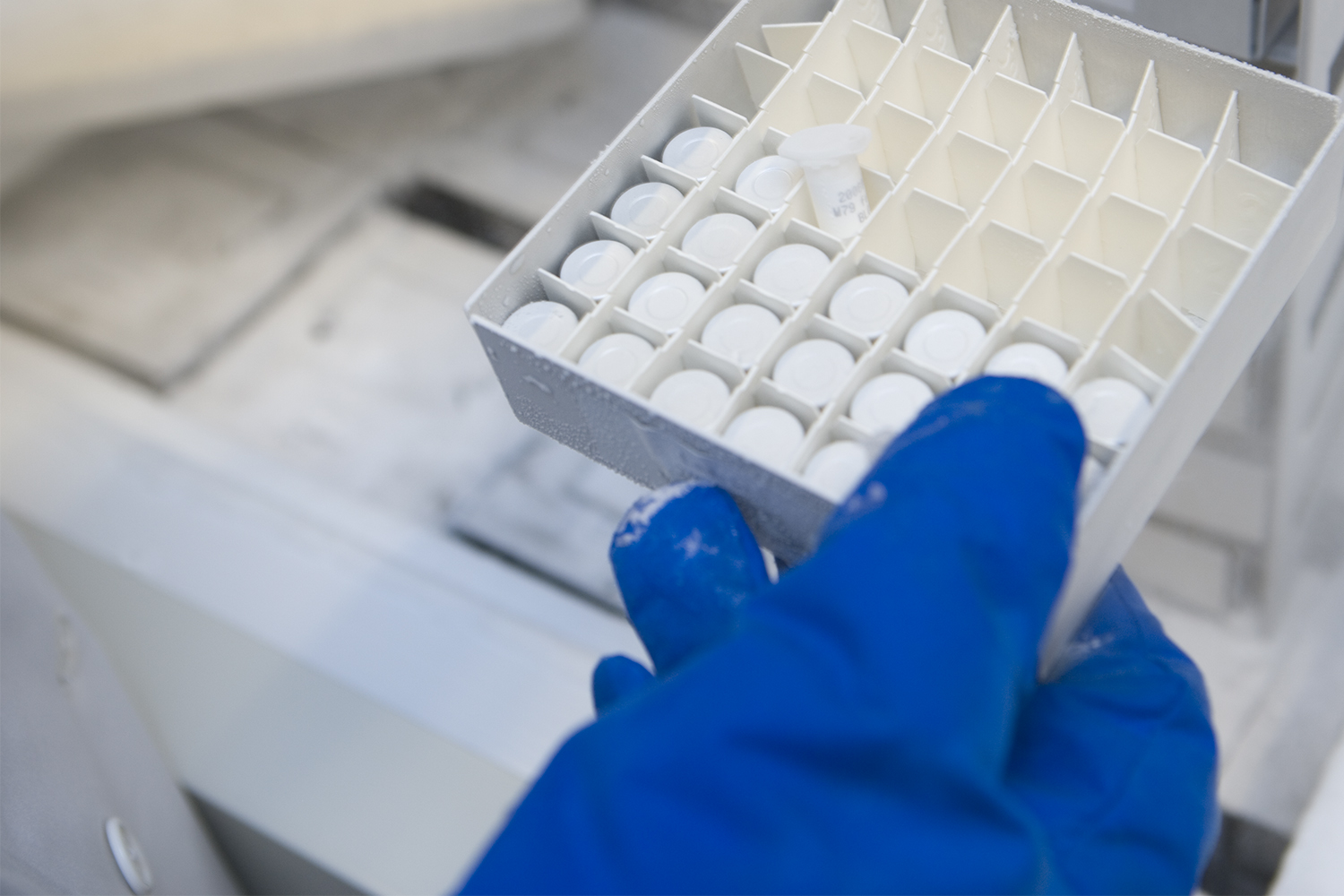 A close up of a gloved hand holding a box of laboratory samples.