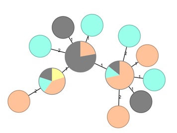 Figuur 4. 'Minimum spanning tree' van oorspronkelijke cluster behorend bij landelijke uitbraak met voedselisolaten 