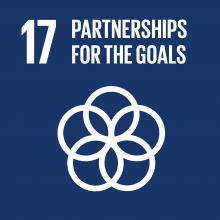 Sustainable Development Goal 17: Partnerships for the goals