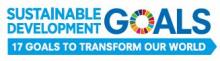 Sustainable Development Goals; 17 goals to transfrom our world