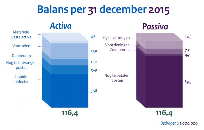 Balans RIVM per 31 december 2015